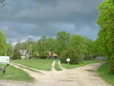 014 a thunder is coming.jpg