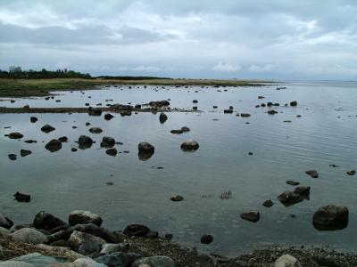 015 a scene from Virtsu, where ships go to Muhu.jpg