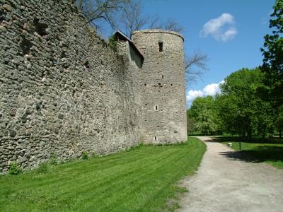 010 scene out of the castle.jpg