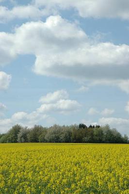 u45/andi1712/medium/28965139.DSC_0594a.jpg