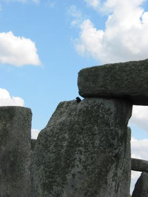 125-2552_IMG.JPG