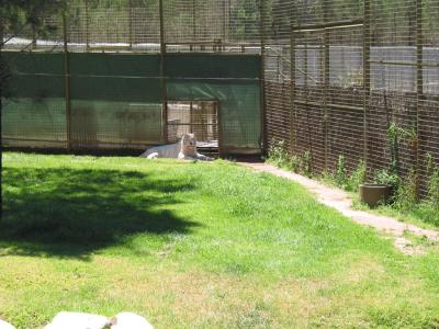 CRW_0557.jpg