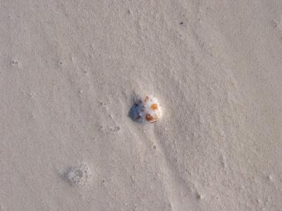108-0893_CRW.jpg