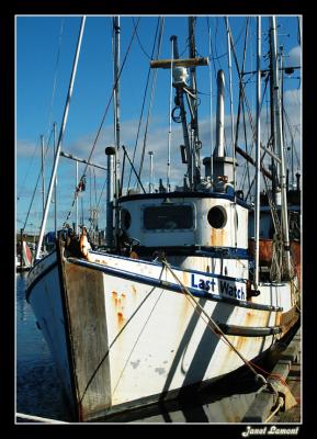 u45/aquaholic2/medium/39784300.DSC_2079E.jpg