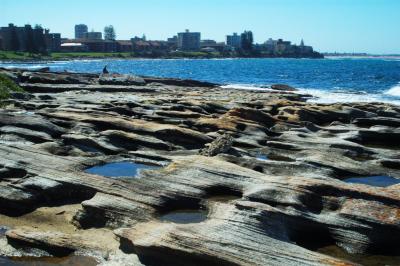 cronulla34.jpg