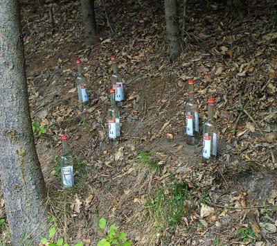 Vodka in the forest