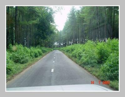 Road to Ijen