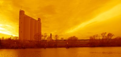 tamar factory copy.jpg