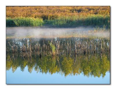 Mirror Lake With Fog (Silesia)