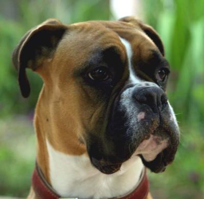 jessie - 09 .jpg
