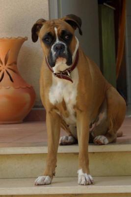 jessie - 19 .jpg