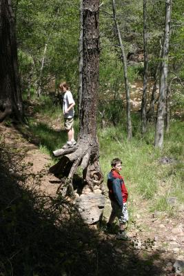 Camping at Christopher Creek