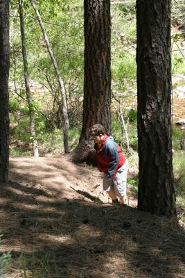 IMG_3999.JPG