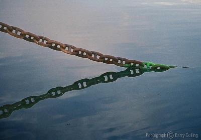 Chain  Reflection copy.jpg