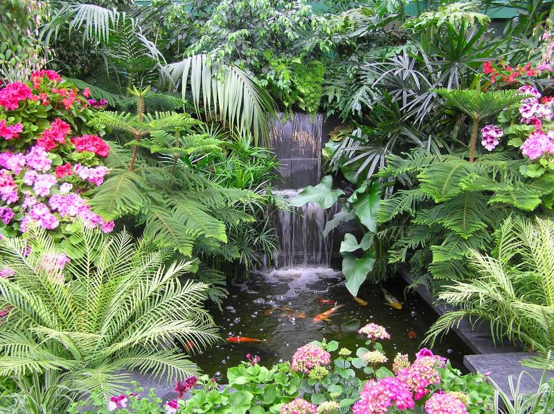 small waterfall and goldfish