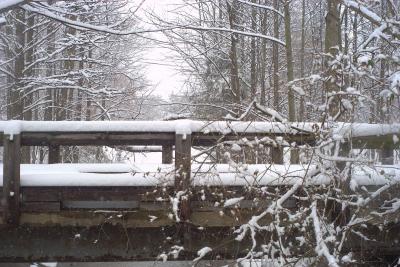 Snow Day 27 Feb 2003