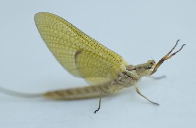 DSC_8618.jpg