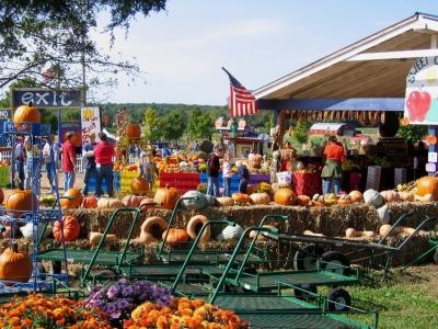cox farm 05.JPG