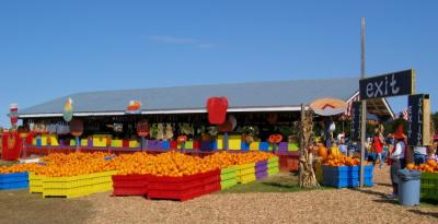 cox farm 07.JPG