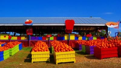 cox farm 09.JPG