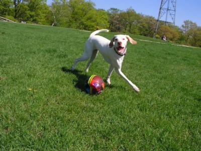 May16_04_050.jpg