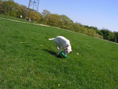 May16_04_051.jpg