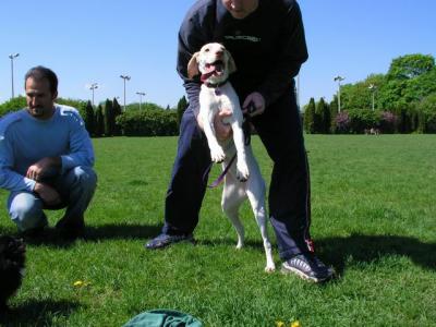 May16_04_054.jpg