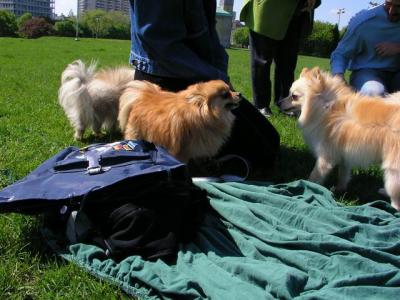May16_04_055.jpg