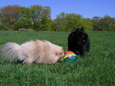May16_04_058.jpg