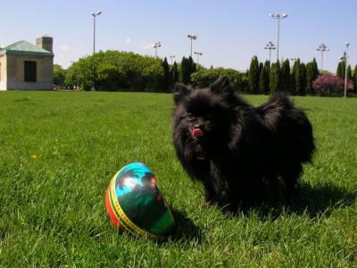 May16_04_059.jpg