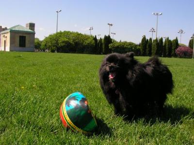 May16_04_060.jpg