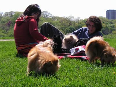 May16_04_072.jpg
