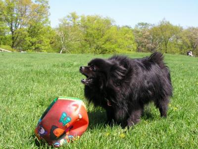May16_04_074.jpg