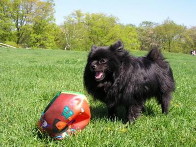 May16_04_076.jpg