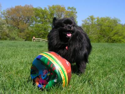 May16_04_079.jpg