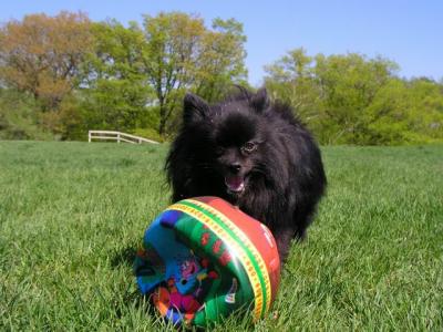 May16_04_083.jpg