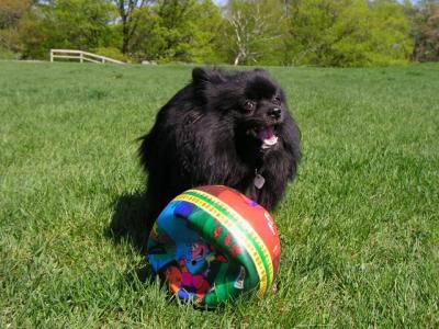 May16_04_086.jpg