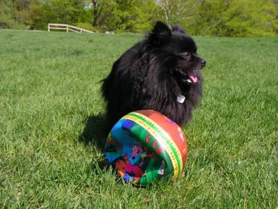 May16_04_087.jpg