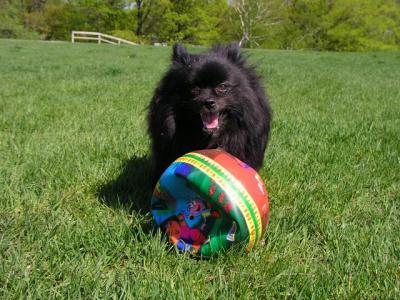 May16_04_088.jpg