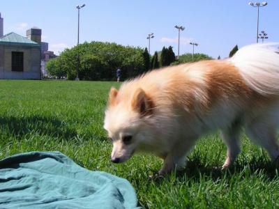 May16_04_090.jpg