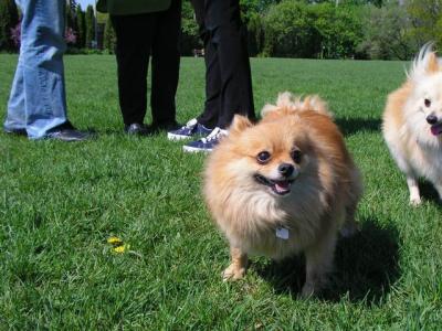May16_04_092.jpg