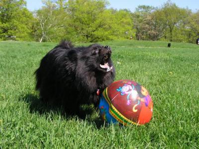 May16_04_094.jpg
