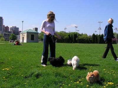 May16_04_139.jpg