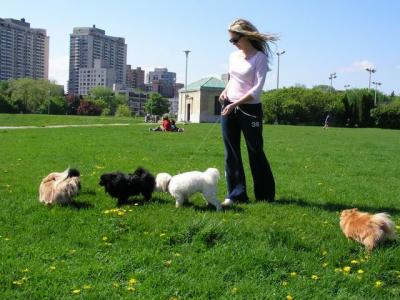 May16_04_140.jpg
