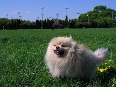 May16_04_143.jpg