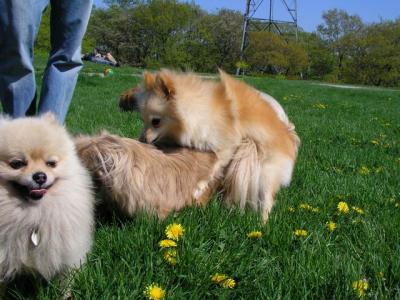 May16_04_151.jpg