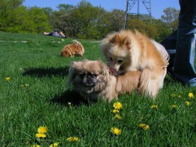 May16_04_154.jpg