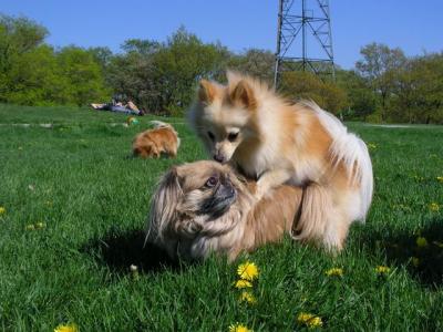 May16_04_156.jpg