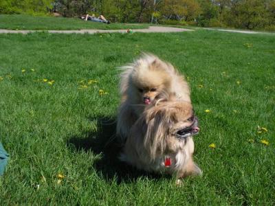 May16_04_171.jpg