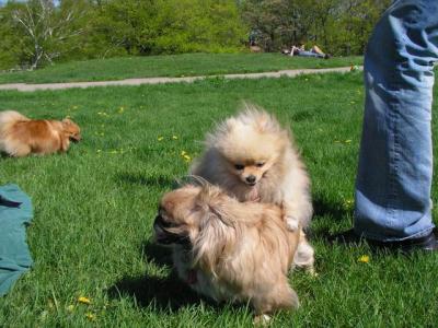 May16_04_175.jpg